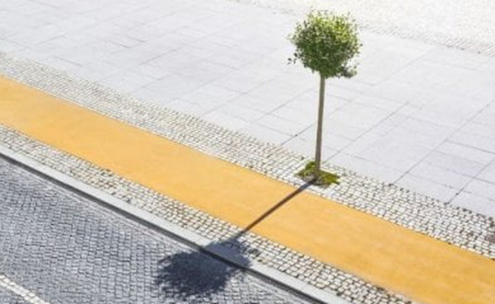 Điều gì sẽ xảy ra nếu cả thành phố chỉ còn đúng 1 cây xanh?