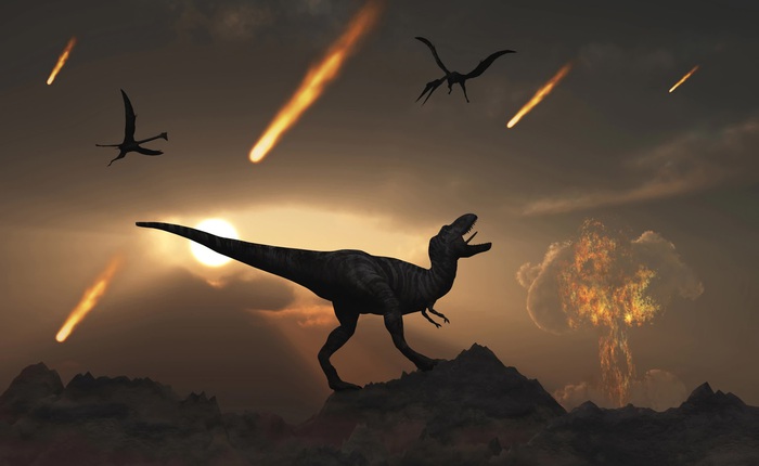 Thiên thạch chỉ là một đòn "knock-out", khủng long đã trên bờ vực tuyệt chủng từ lâu trước khi va chạm xảy ra
