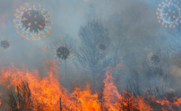 Khói cháy rừng khiến con người dễ nhiễm COVID-19 hơn nhưng chúng ta lại không thể trốn chạy khỏi chúng