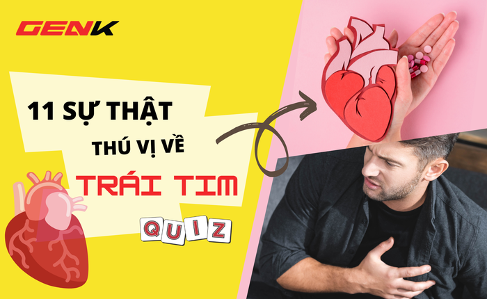 Quiz Sinh học: 11 sự thật về trái tim con người