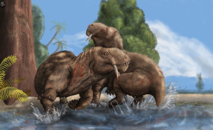 Nghiên cứu hóa thạch cho thấy không phải tất cả động vật có răng kiếm đều là động vật săn mồi