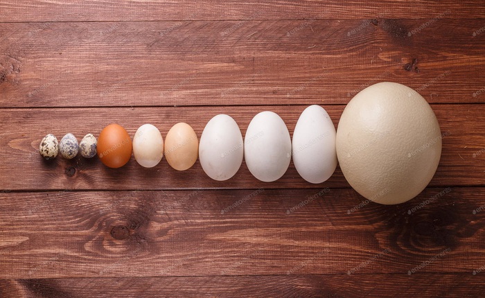 So sánh hàm lượng dinh dưỡng của trứng gà, trứng vịt, trứng cút... loại nào bổ dưỡng nhất?