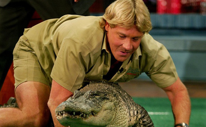 Cái chết nghiệt ngã của "thợ săn cá sấu" Steve Irwin: Nhà động vật học hàng đầu thế giới và câu chuyện "sinh nghề tử nghiệp"