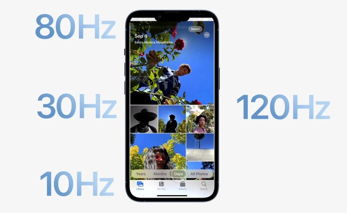 Cả 4 mẫu iPhone 14 đều sẽ có màn hình ProMotion 120Hz
