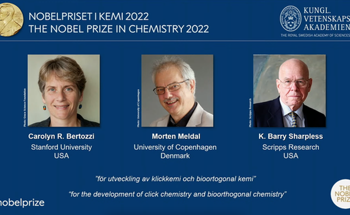 Nobel Hóa học 2022 được trao cho ba nhà khoa học 'gắn kết các phân tử lại với nhau’