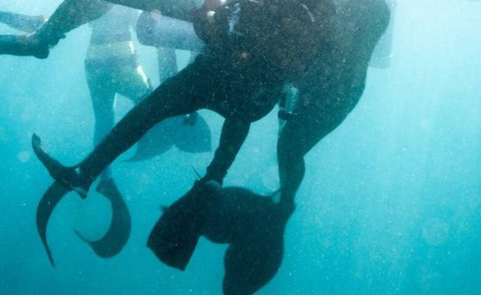 Ba 'nàng tiên cá' cứu một thợ lặn khỏi chết đuối ở California