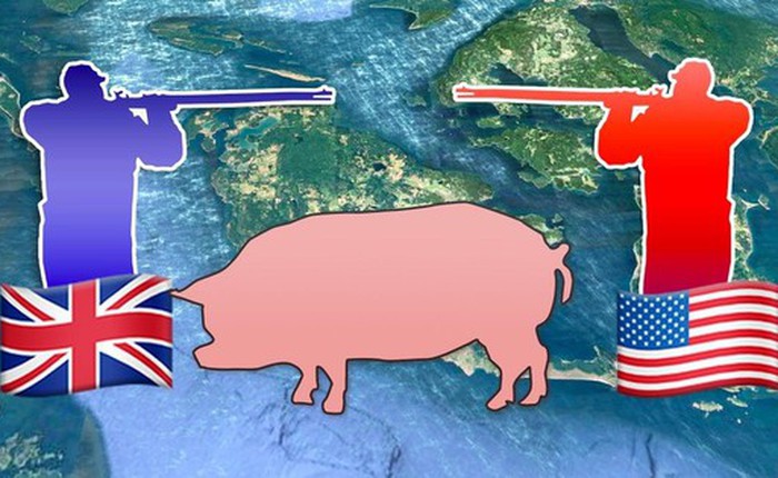 Suýt nổ ra chiến tranh chỉ vì một con lợn