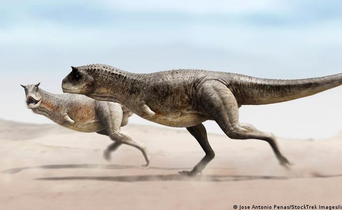 Các nhà khảo cổ vừa phát hiện một loài khủng long cụt tay, nhưng chúng tàn mà không phế