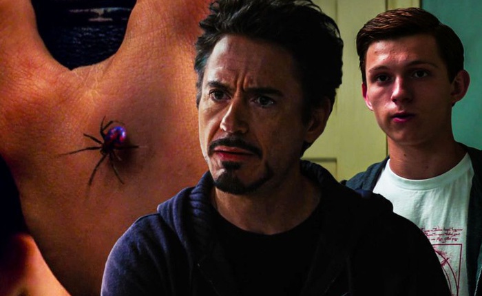 Giả thuyết MCU: Con nhện đột biến cắn trúng Peter Parker là do Tony Stark tạo ra