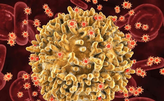 Phát hiện biến thể virus HIV mới, tiến triển thành AIDS nhanh gấp đôi chủng cũ