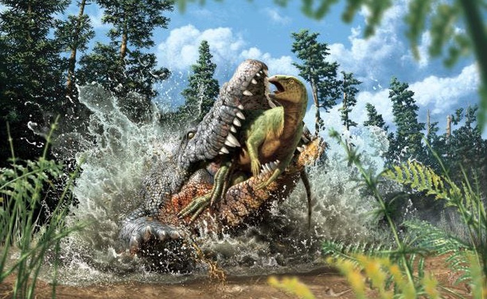 Lần đầu tiên tìm thấy một loài cá sấu ăn thịt khủng long ở Úc, nó đã nuốt chửng cả con khủng long vào bụng