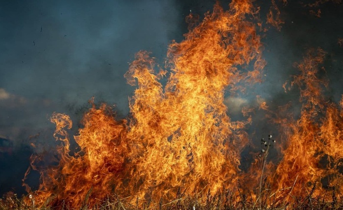 Không chỉ CFC, khói từ các trận cháy rừng cũng có thể đe dọa phá hủy tầng ozon