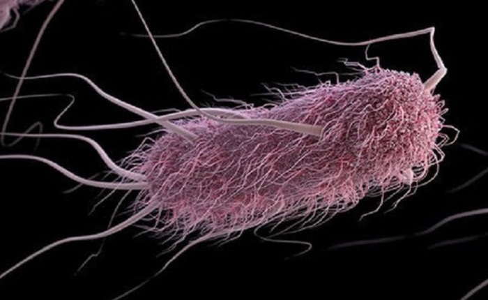 Tìm ra loại vi khuẩn được điều khiển bằng âm thanh, có khả năng TIÊU DIỆT căn bệnh gây ra cái chết cho hơn 9 triệu người/năm