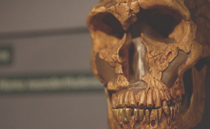 Sự tuyệt chủng của người Neanderthal không phải do tổ tiên chúng ta gây ra trong một sớm một chiều!