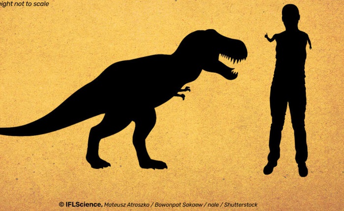 Tiến hóa làm teo nhỏ tay khủng long T-rex để chúng đỡ cắn vào tay nhau