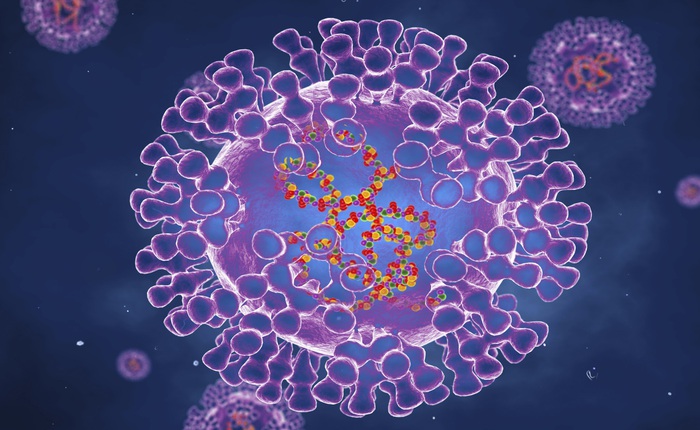 Bệnh đậu mùa khỉ do virus MPXV bùng phát ở Châu Âu, đây là những gì bạn cần biết