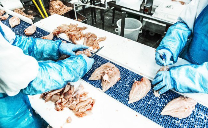 Start-up này có cách biến xương gà thành thịt, từ đó cứu sống 20 tỷ con gà mỗi năm