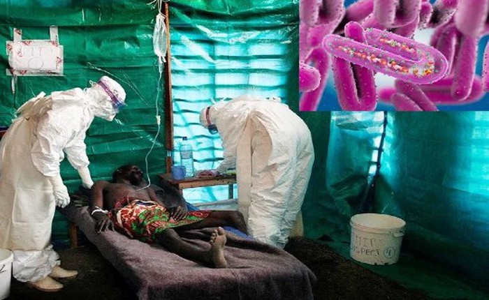 Bùng phát virus Marburg: Một chủng sốt xuất huyết kịch độc, triệu chứng và phòng tránh ra sao?