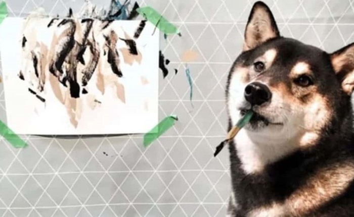 Chú chó có tài vẽ tranh được khắp thế giới đặt mua, giúp chủ kiếm hơn 400 triệu
