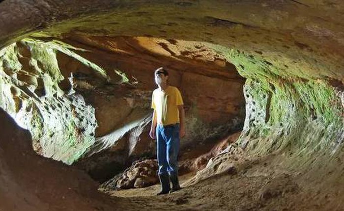 Tìm thấy 10.000 đường hầm 13.000 tuổi: Không phải do người, 'tác giả' là loài khổng lồ này