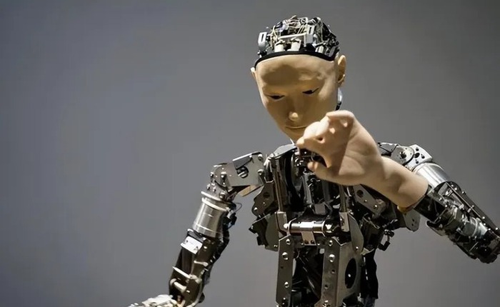 Khám phá mới tiết lộ khả năng đáng kinh ngạc của "robot sống"