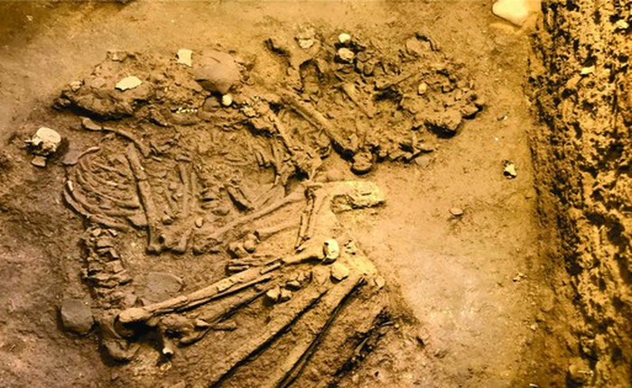 Điều chưa biết về di cốt người vừa được phát hiện có niên đại 10.000 năm trước ở Hà Nam