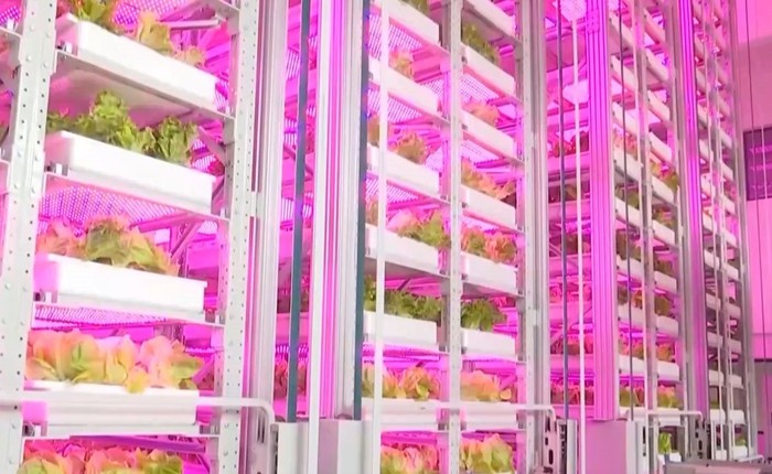 Cho robot đi…trồng rau, Trung Quốc lại gây ngỡ ngàng với trình độ công nghệ đỉnh cao khi ra mắt mô hình trang trại như ‘chung cư 20 tầng’ đầu tiên của thế giới