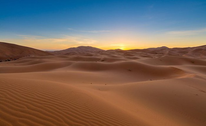 Nhiều người đề xuất phủ xanh sa mạc, chuyên gia: Nếu làm như vậy, loài người sẽ hối hận