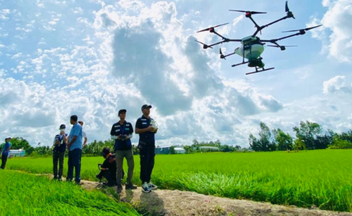 Công ty Việt dùng 3.000 máy bay không người lái phun thuốc trừ sâu cho đồng lúa, vườn sầu riêng: Chỉ 8.000-10.000 đồng/lít, tăng trưởng 100%/năm