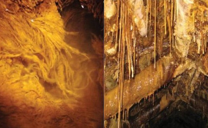 Tìm thấy các dạng sống 'ngoài hành tinh' trong một mỏ Uranium bị bỏ hoang ở Đức