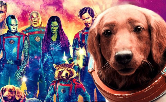 Giải mã thân phận của chú chó đáng yêu chiếm trọn spotlight trong Guardians of the Galaxy 3