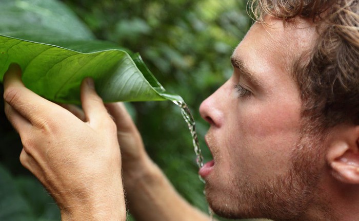 Tại sao động vật có khả năng nhịn đói tốt hơn nhiều so với con người?