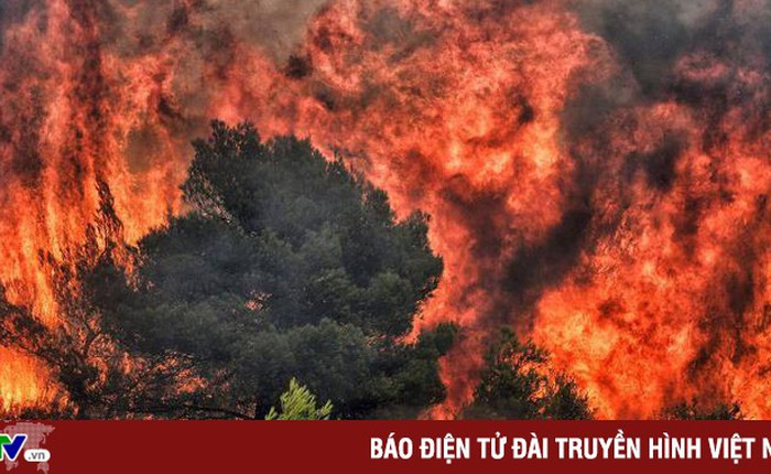 Cháy rừng gia tăng về số lượng và cường độ trên toàn thế giới