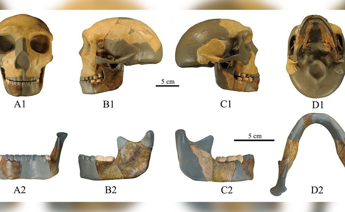Hộp sọ cổ đại được phát hiện tại Trung Quốc không giống bất kỳ loài người nào khác được tìm thấy trước đây