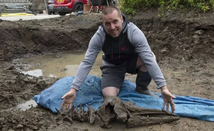 Một người đàn ông Scotland tìm thấy xương cá heo 8.000 năm tuổi khi đang đào bể bơi cho các con của mình