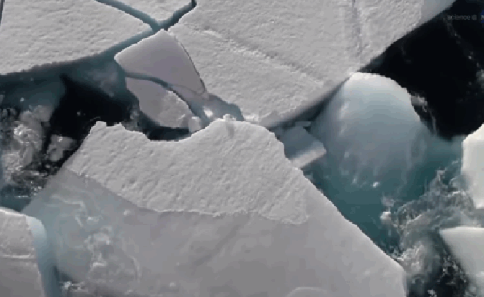 Nam Cực mất lượng băng gần bằng diện tích Argentina: Báo động hiểm họa hàng triệu năm có một