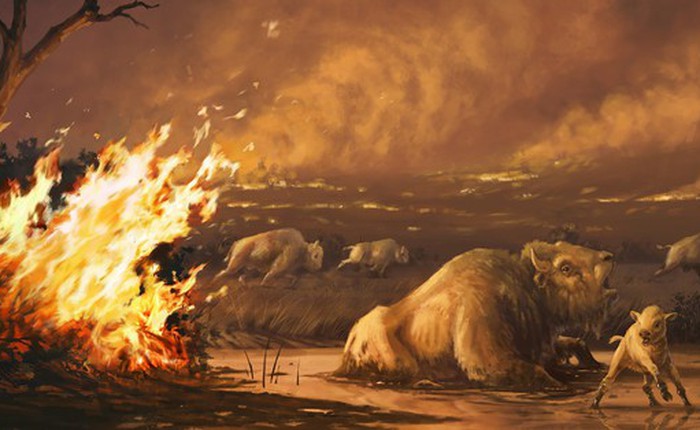 Cháy rừng cách đây 13.000 năm đã khiến cho hổ răng kiếm, sói dire và nhiều loài khác tuyệt chủng tại nơi ngày nay là California