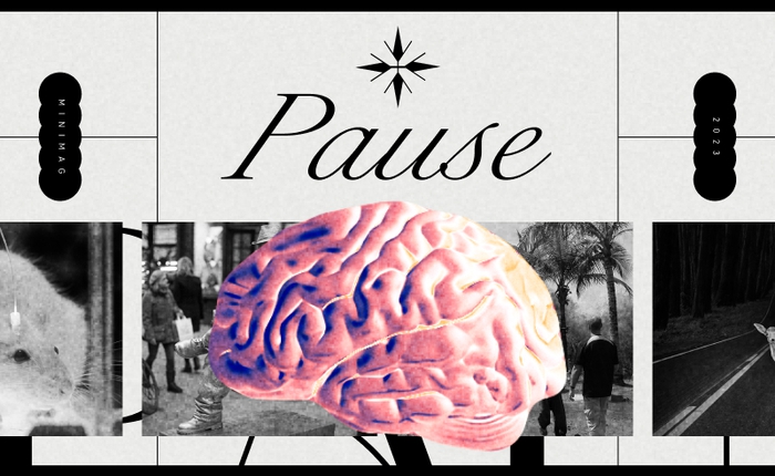 Các nhà khoa học tìm thấy một nút "Pause" trong não bộ, khi nhấn vào, toàn bộ cơ thể bạn sẽ bất động