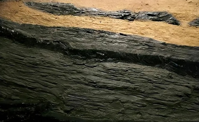 Bí ẩn về sự hình thành của những vỉa than dày hàng chục mét!