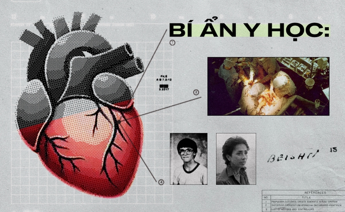 Bí ẩn y học: Trái tim được hiến tặng mách bảo chủ nhân mới tìm về nhà chủ nhân cũ, dù danh tính hai bên đã bị giấu kín