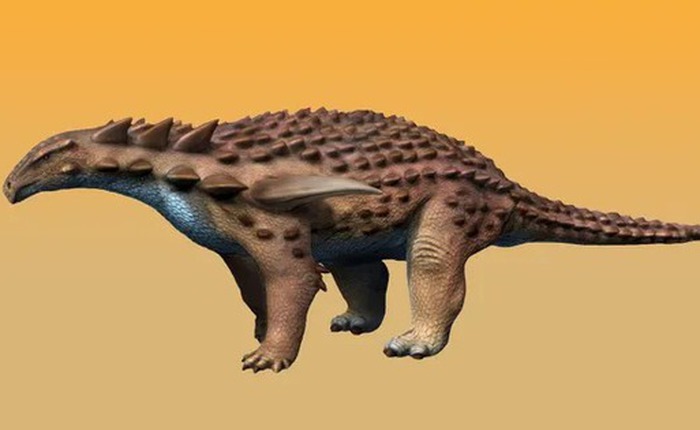 Áo giáp của khủng long Ankylosaur có thể chịu được tác động của một vụ tai nạn xe hơi tốc độ cao không?