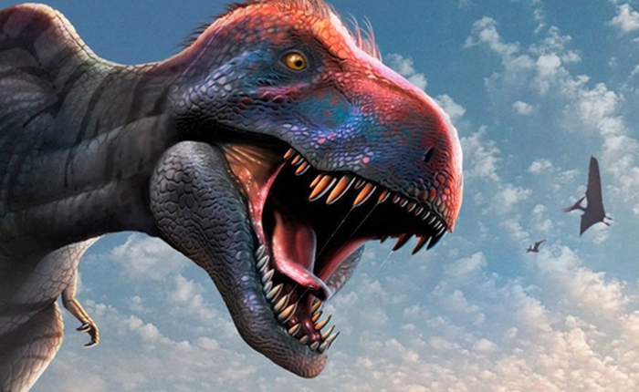 Chúng ta có thể đã sai về T. rex một lần nữa: 'Thông minh như khỉ' hay chỉ là lời đồn?