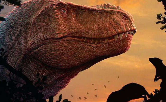 Hóa ra động vật có vú hiện đại bị 'mù màu' đều là do khủng long bạo chúa Tyrannosaurus rex?