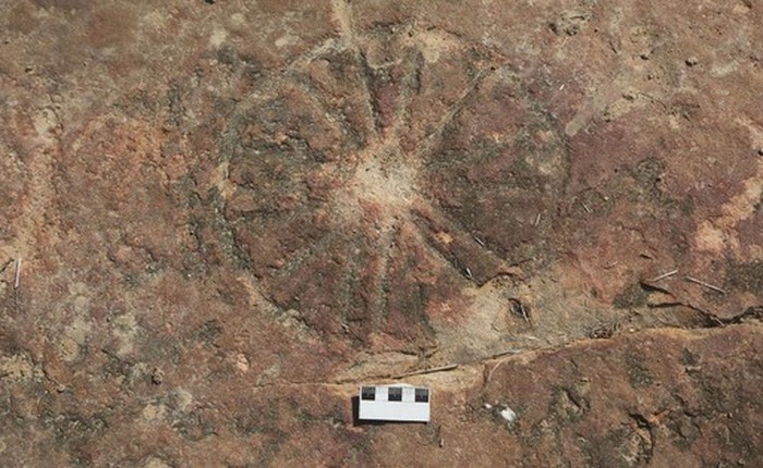 Phát hiện tác phẩm nghệ thuật 9.000 năm tuổi bên cạnh dấu chân khủng long