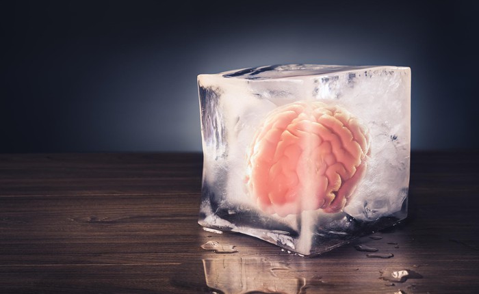 Mô não người đông lạnh 18 tháng có thể hoạt động hoàn hảo sau khi rã đông: Liệu đây có phải là sự thật?