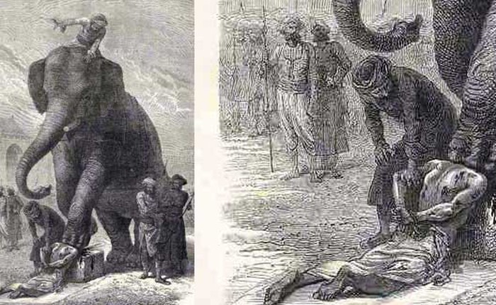 Ở châu Á cổ đại, chết bởi voi là một hình thức hành quyết phổ biến!