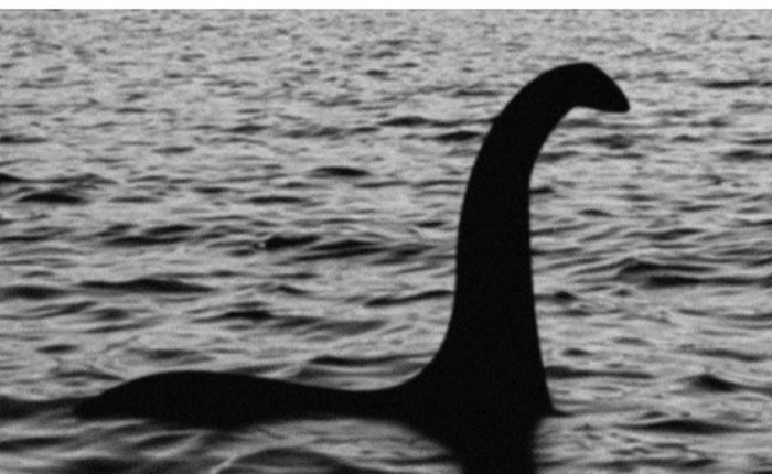 Vi khuẩn giống quái vật hồ Loch Ness có cách bắt mồi độc lạ