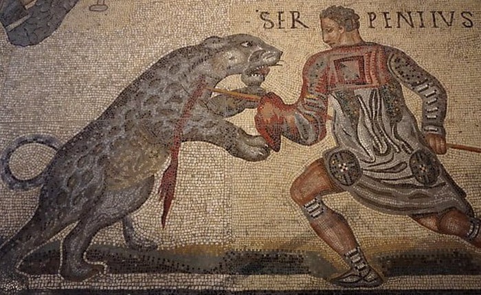 Sự thật về các đấu sĩ đấu với 'quái thú' trên các đấu trường La Mã cổ đại!
