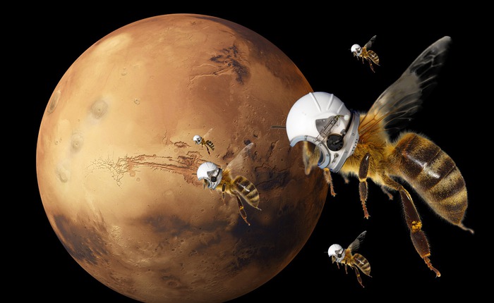 Ong robot 'Marsbees': Đội quân thám hiểm tí hon chinh phục Sao Hỏa