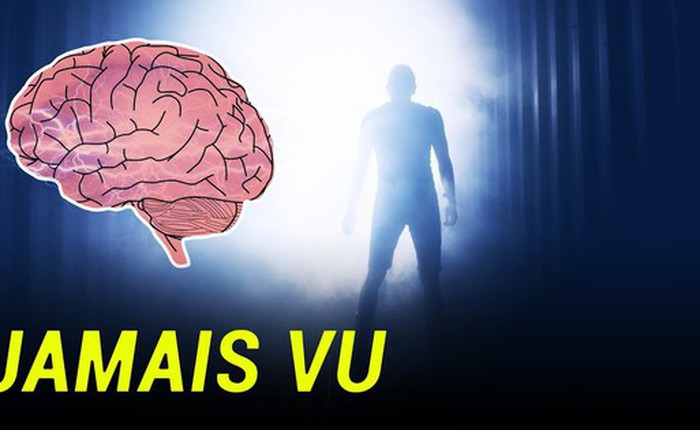 Hiện tượng đối nghịch với Déjà vu: Jamais vu là gì? Tại sao chúng ta phải cảnh giác với nó?